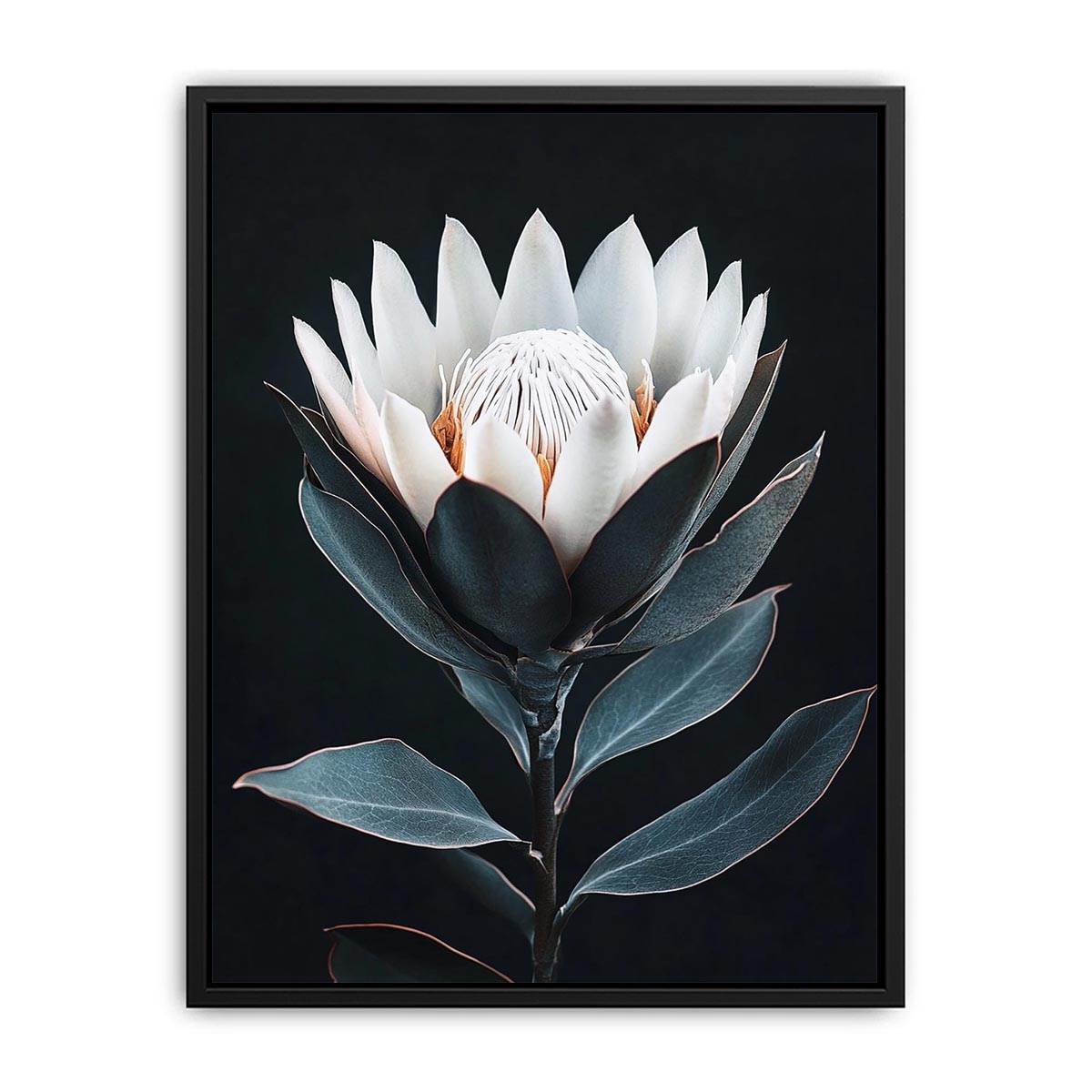 White protea flower artwork with minimalist botanical style