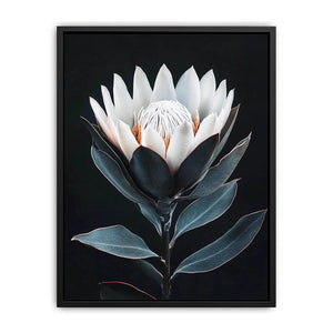 White protea flower artwork with minimalist botanical style