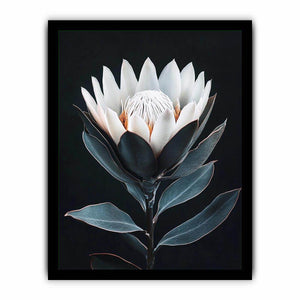 White protea flower artwork with minimalist botanical style