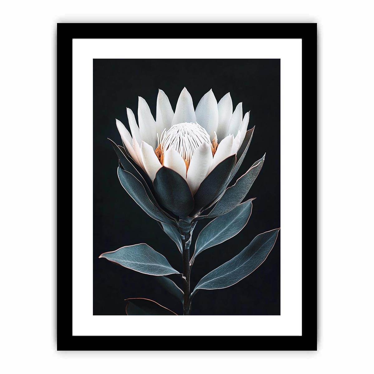 White protea flower artwork with minimalist botanical style