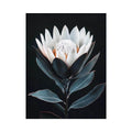 White protea flower artwork with minimalist botanical style