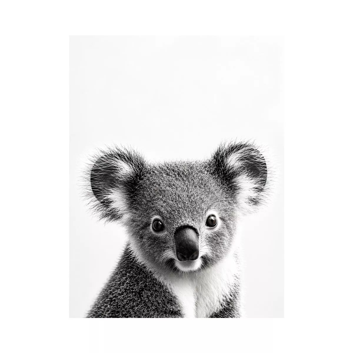 koala black white Canvas Print, minimalist animal portrait canvas, cute koala print, modern wildlife decor