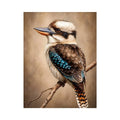 realistic kookaburra bird portrait perched on branch Canvas Print canvas