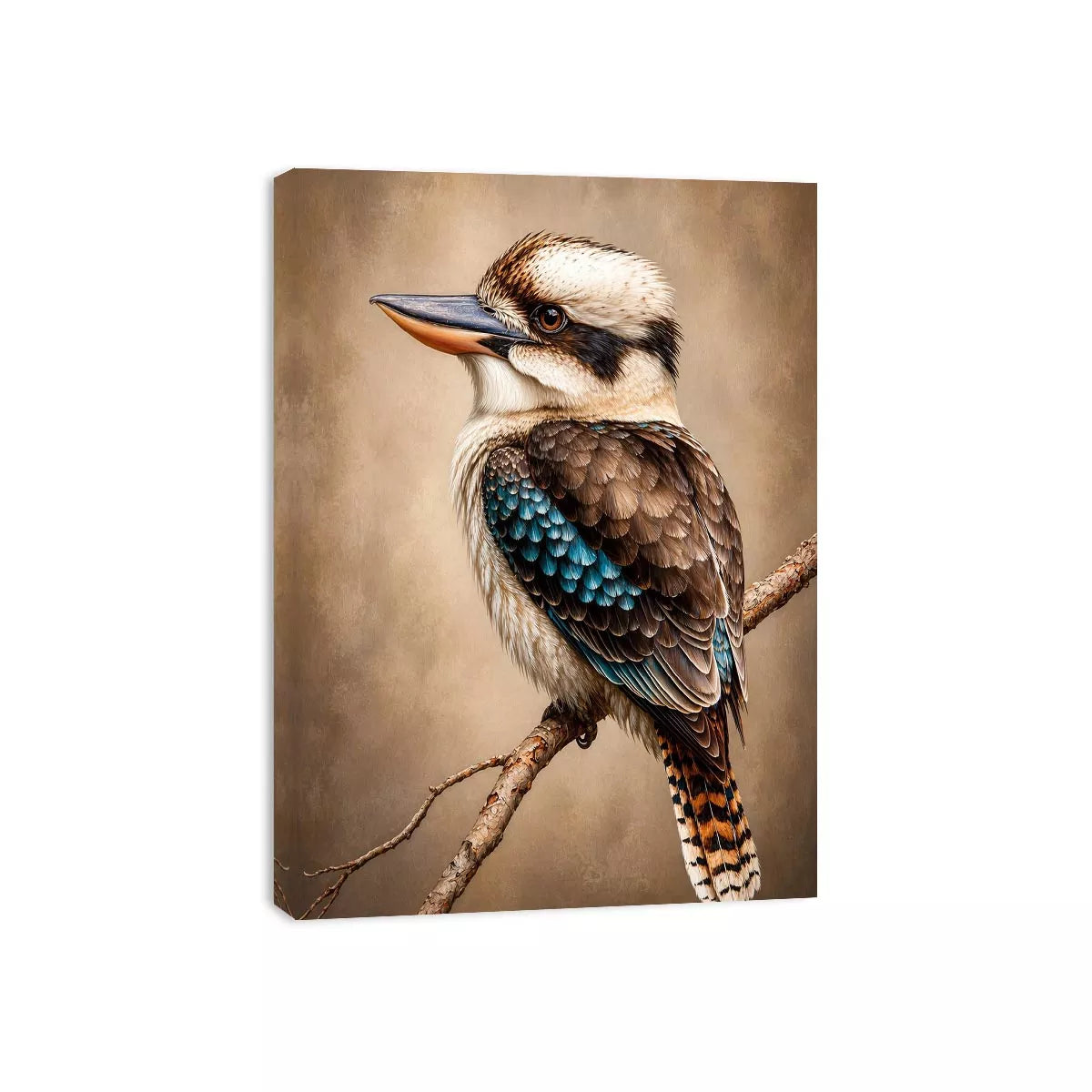 realistic kookaburra bird portrait perched on branch Canvas Print canvas