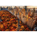 new york city skyline with central park autumn colors aerial view Canvas Print