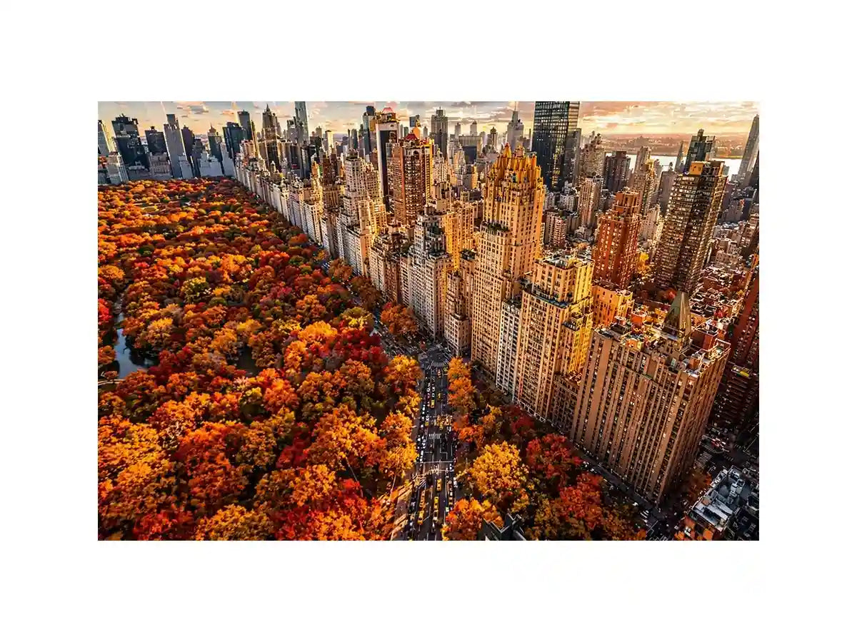 new york city skyline with central park autumn colors aerial view Canvas Print