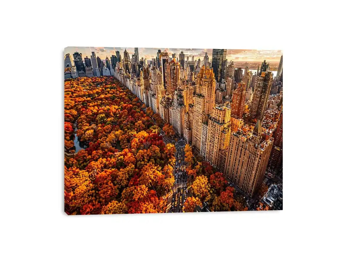 new york city skyline with central park autumn colors aerial view Canvas Print