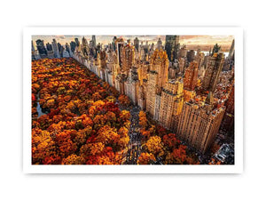 new york city skyline with central park autumn colors aerial view Canvas Print