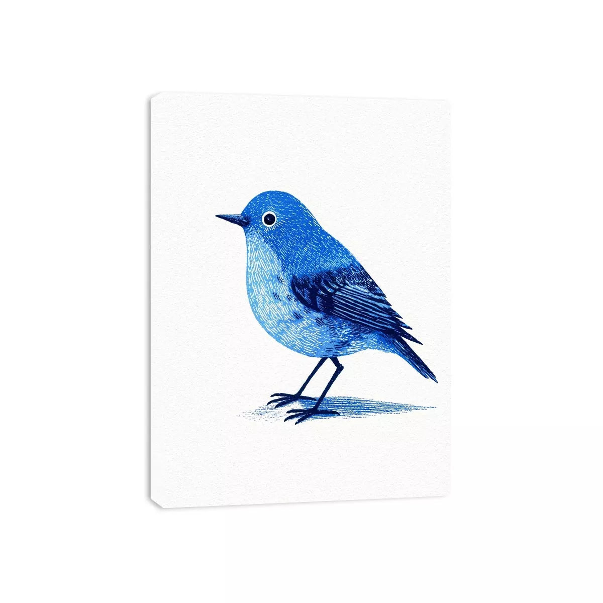 Minimalist blue bird illustration Canvas Print with clean white background
