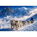 husky sled snow mountain Canvas Print, winter dog sled landscape canvas, arctic adventure Canvas Print, snowy mountain husky artwork