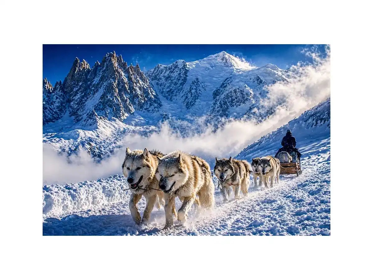 husky sled snow mountain Canvas Print, winter dog sled landscape canvas, arctic adventure Canvas Print, snowy mountain husky artwork