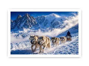 husky sled snow mountain Canvas Print, winter dog sled landscape canvas, arctic adventure Canvas Print, snowy mountain husky artwork
