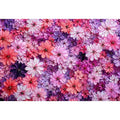 Abstract pink and purple floral blossoms textured painting pattern soft pastel flower Canvas Print