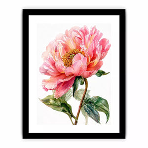 Soft pink peony watercolor botanical illustration with green leaves minimal floral Canvas Print