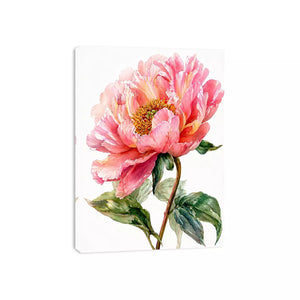 Soft pink peony watercolor botanical illustration with green leaves minimal floral wall art
