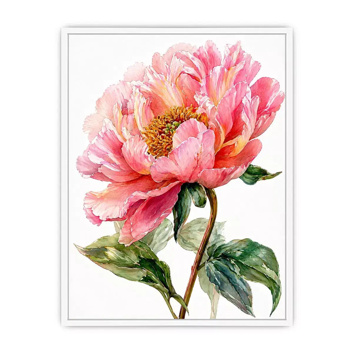 Soft pink peony watercolor botanical illustration with green leaves minimal floral wall art