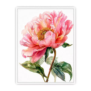 Soft pink peony watercolor botanical illustration with green leaves minimal floral Canvas Print