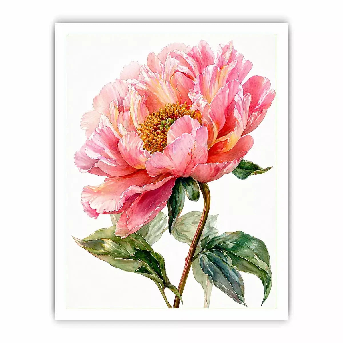 Soft pink peony watercolor botanical illustration with green leaves minimal floral wall art
