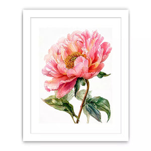 Soft pink peony watercolor botanical illustration with green leaves minimal floral wall art