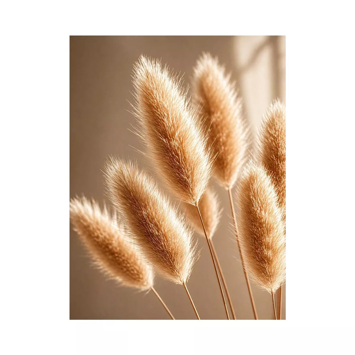 Minimal pampas grass in warm neutral tones soft beige botanical Canvas Print