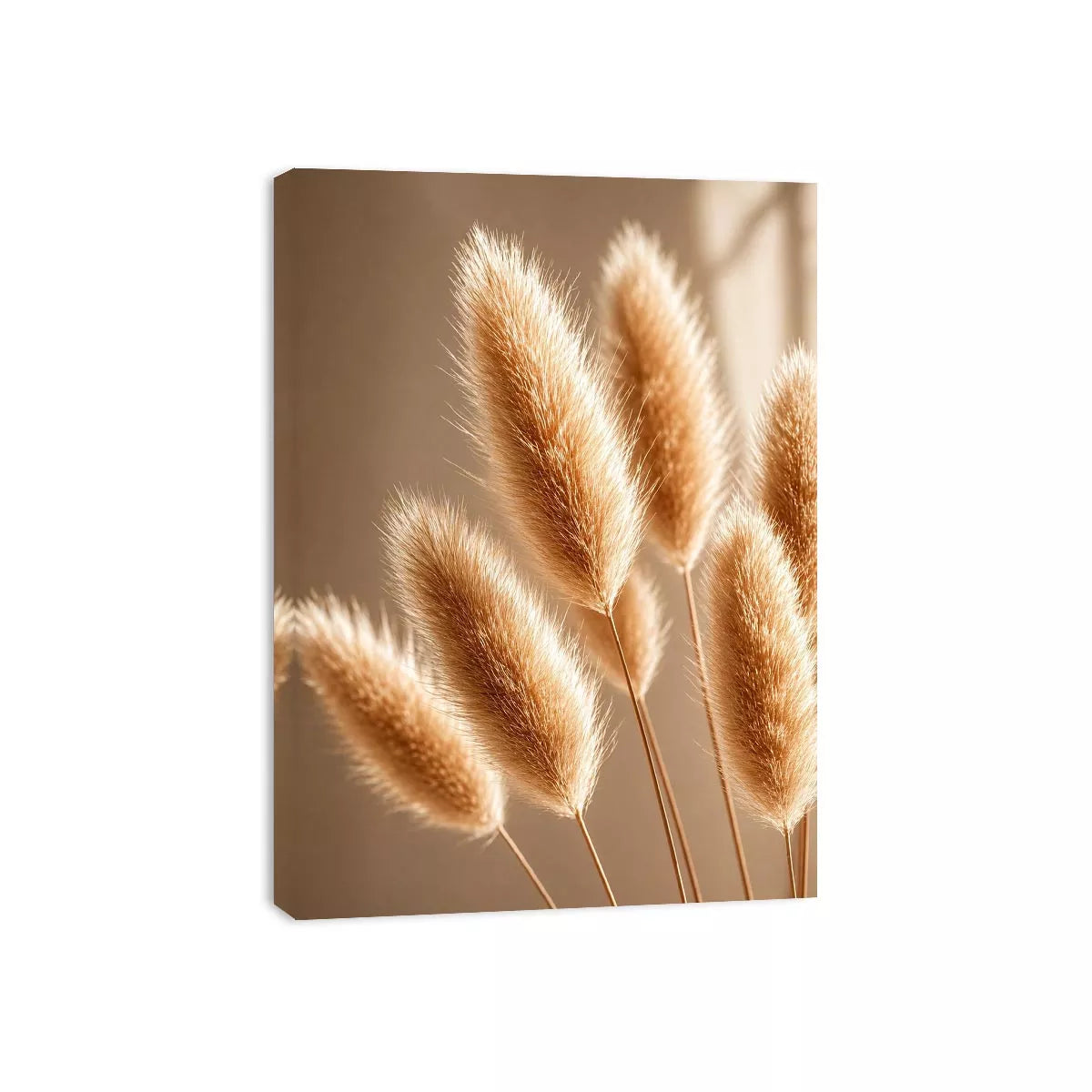 Minimal pampas grass in warm neutral tones soft beige botanical Canvas Print