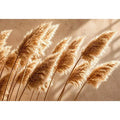 Warm neutral pampas grass Canvas Print soft beige botanical minimal decor