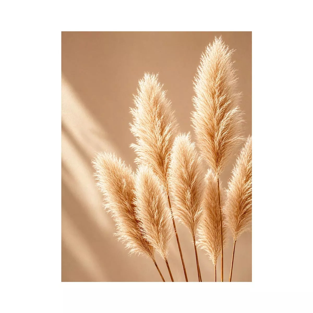 Minimal beige pampas grass Canvas Print soft neutral botanical aesthetic decor
