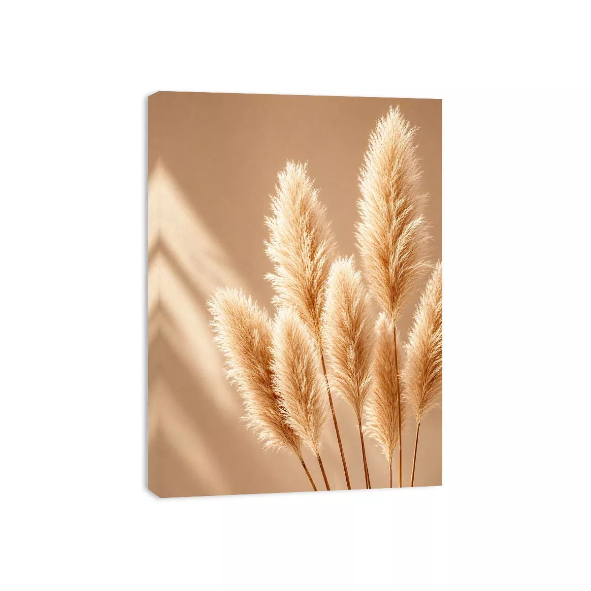 Minimal beige pampas grass Canvas Print soft neutral botanical aesthetic decor