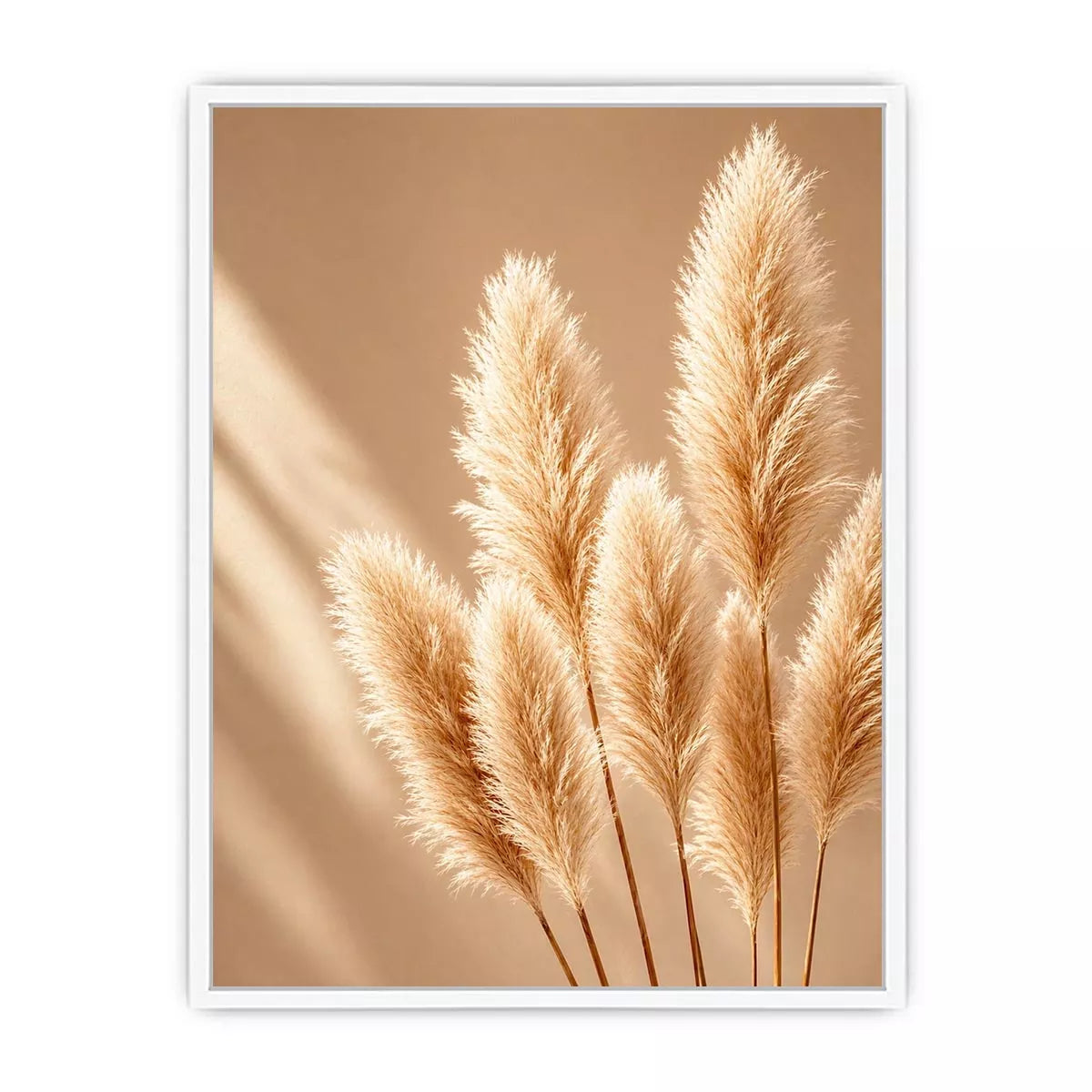 Minimal beige pampas grass Canvas Print soft neutral botanical aesthetic decor