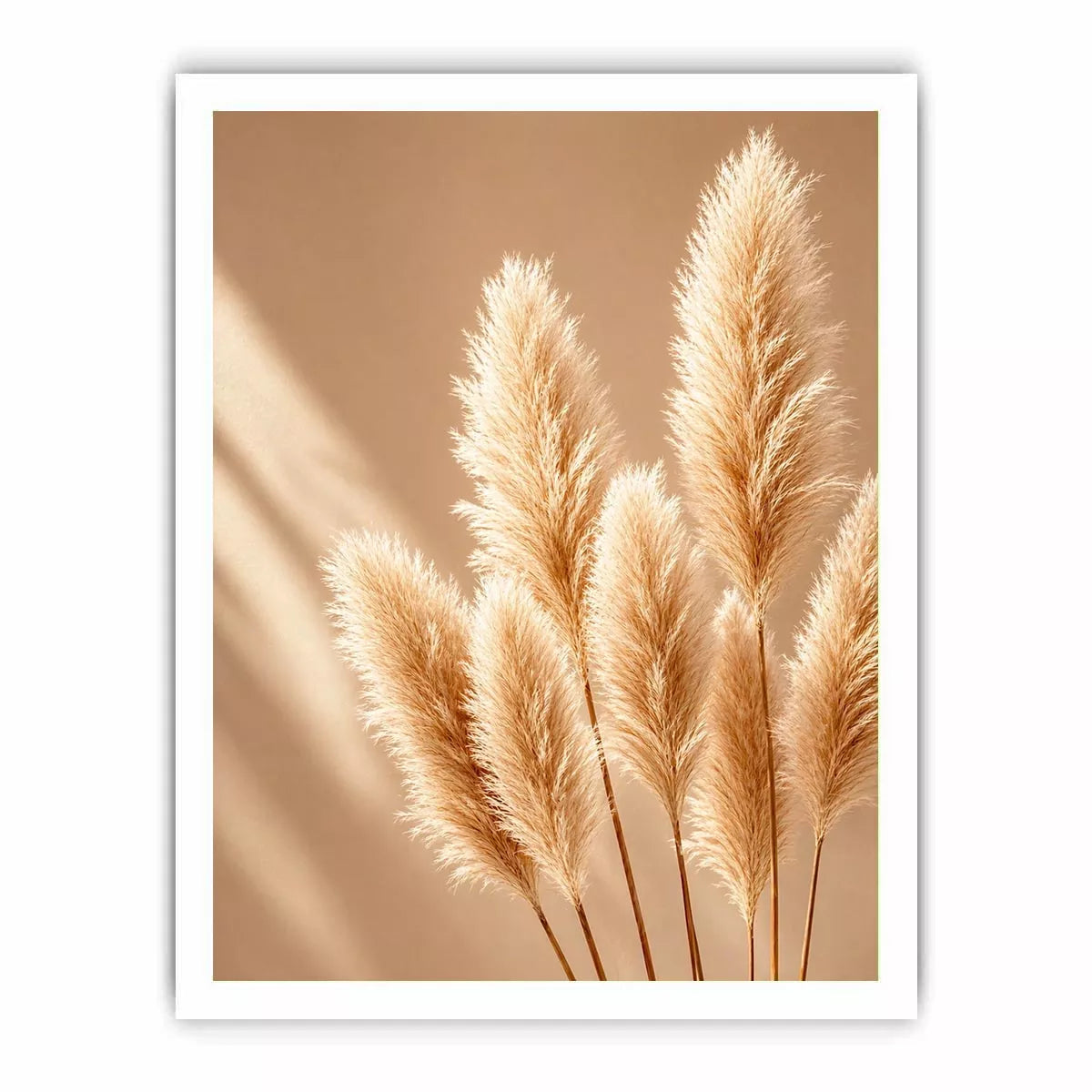 Minimal beige pampas grass Canvas Print soft neutral botanical aesthetic decor