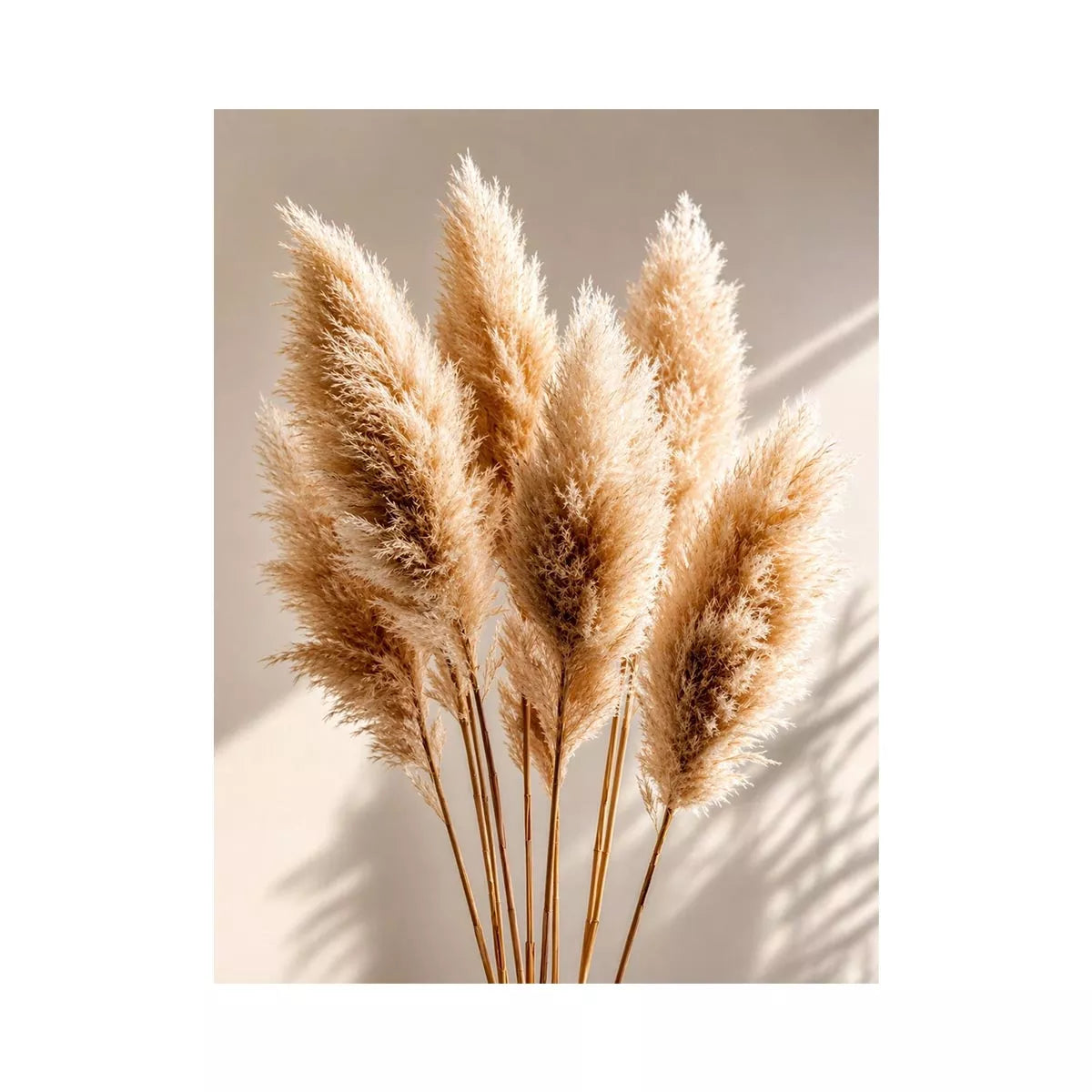 pampas grass Canvas Print neutral, boho pampas grass canvas, minimalist beige botanical artwork, soft neutral decor Canvas Print