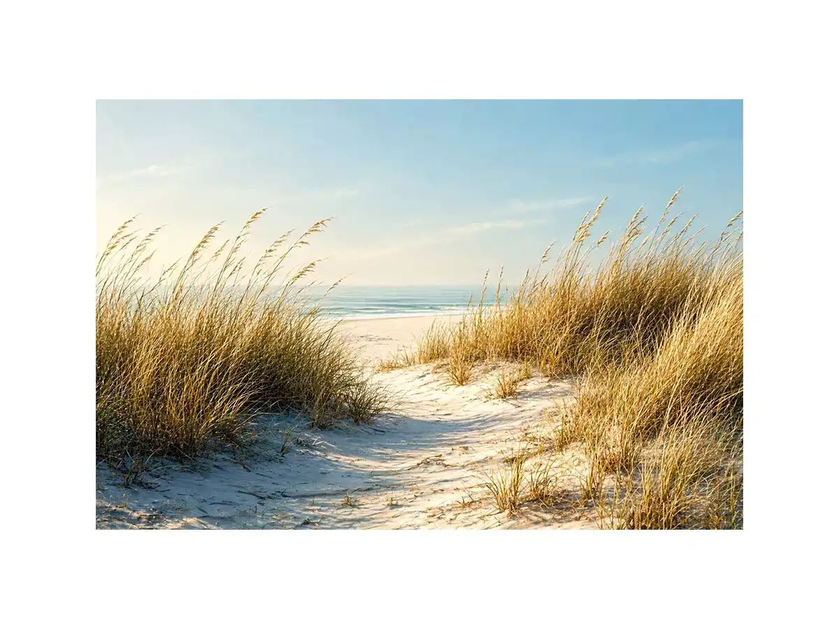 coastal dunes beach path landscape Canvas Print soft neutral ocean canvas decor