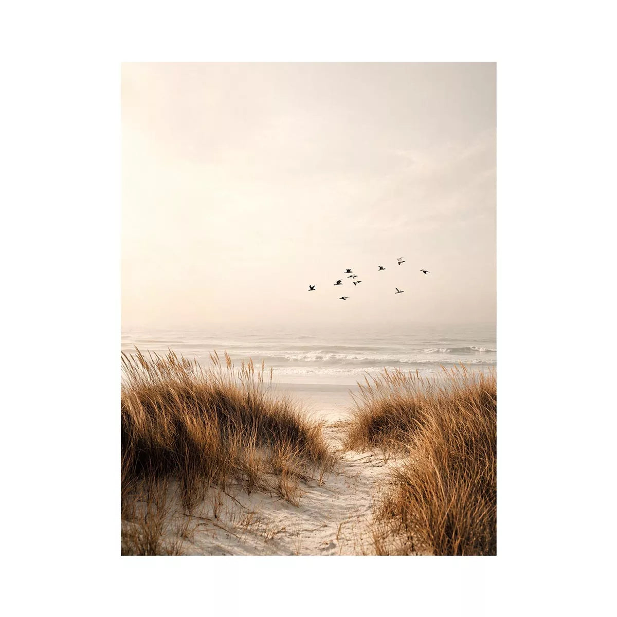 minimal coastal birds beach dunes neutral Canvas Print calm ocean canvas decor