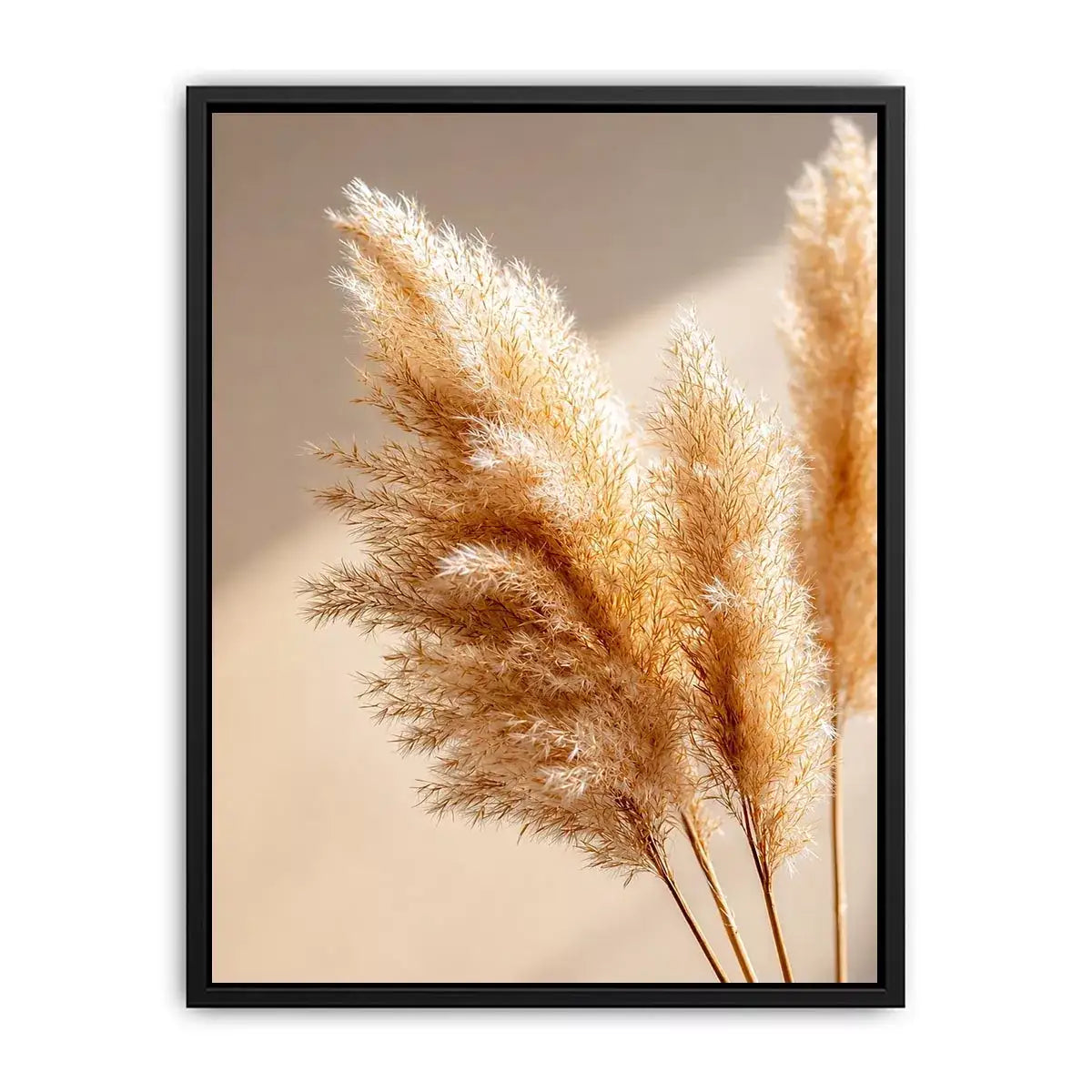 warm minimal pampas grass neutral Canvas Print soft beige botanical canvas