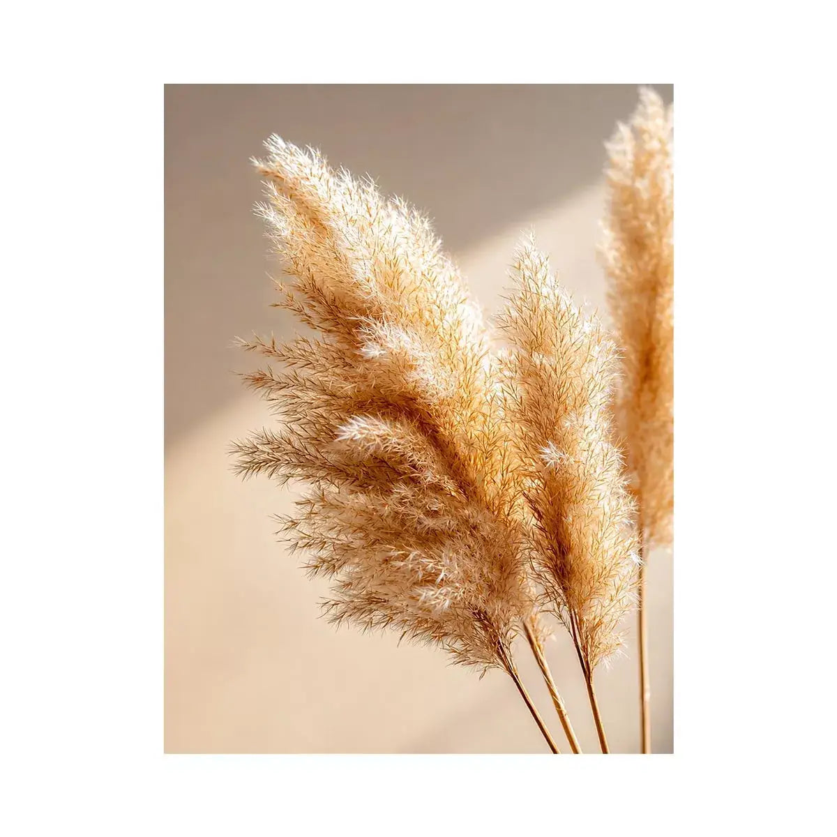 warm minimal pampas grass neutral Canvas Print soft beige botanical canvas