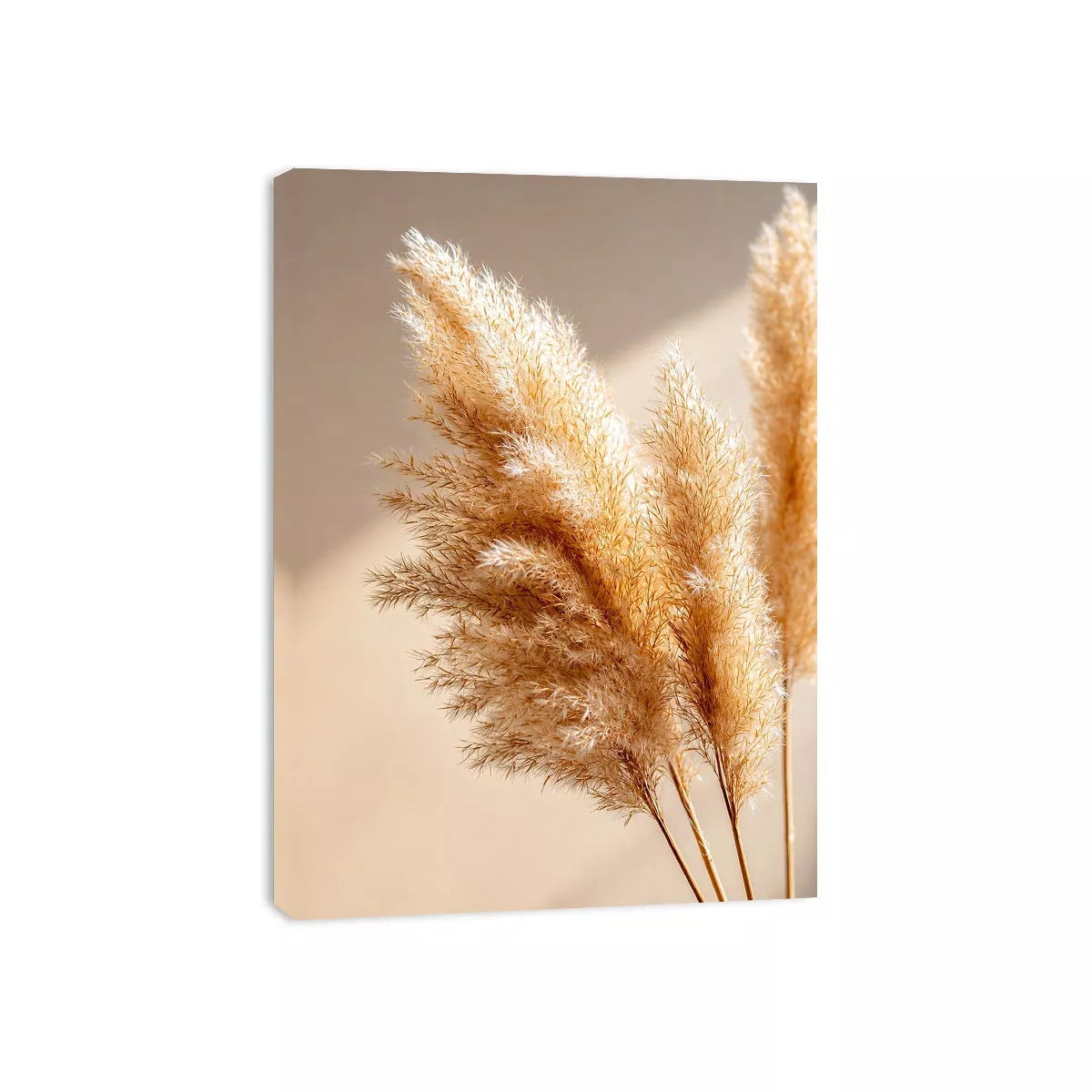 warm minimal pampas grass neutral Canvas Print soft beige botanical canvas