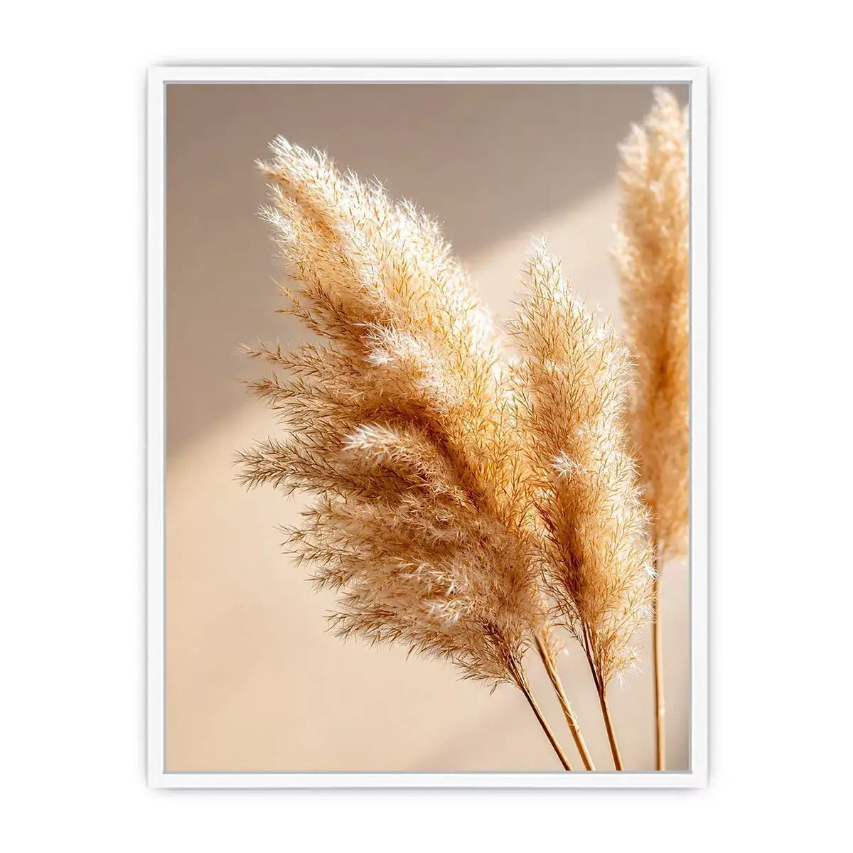 warm minimal pampas grass neutral Canvas Print soft beige botanical canvas