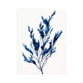 minimal blue botanical watercolor leaf modern neutral Canvas Print canvas