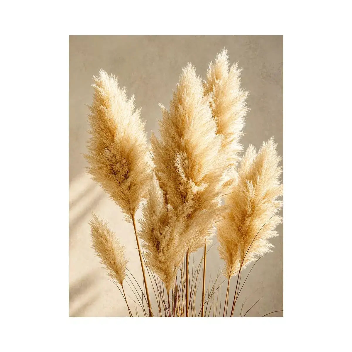 pampas grass Canvas Print neutral decor, minimalist boho pampas canvas, beige botanical Canvas Print print, soft pampas grass decor, neutral aesthetic plant artwork