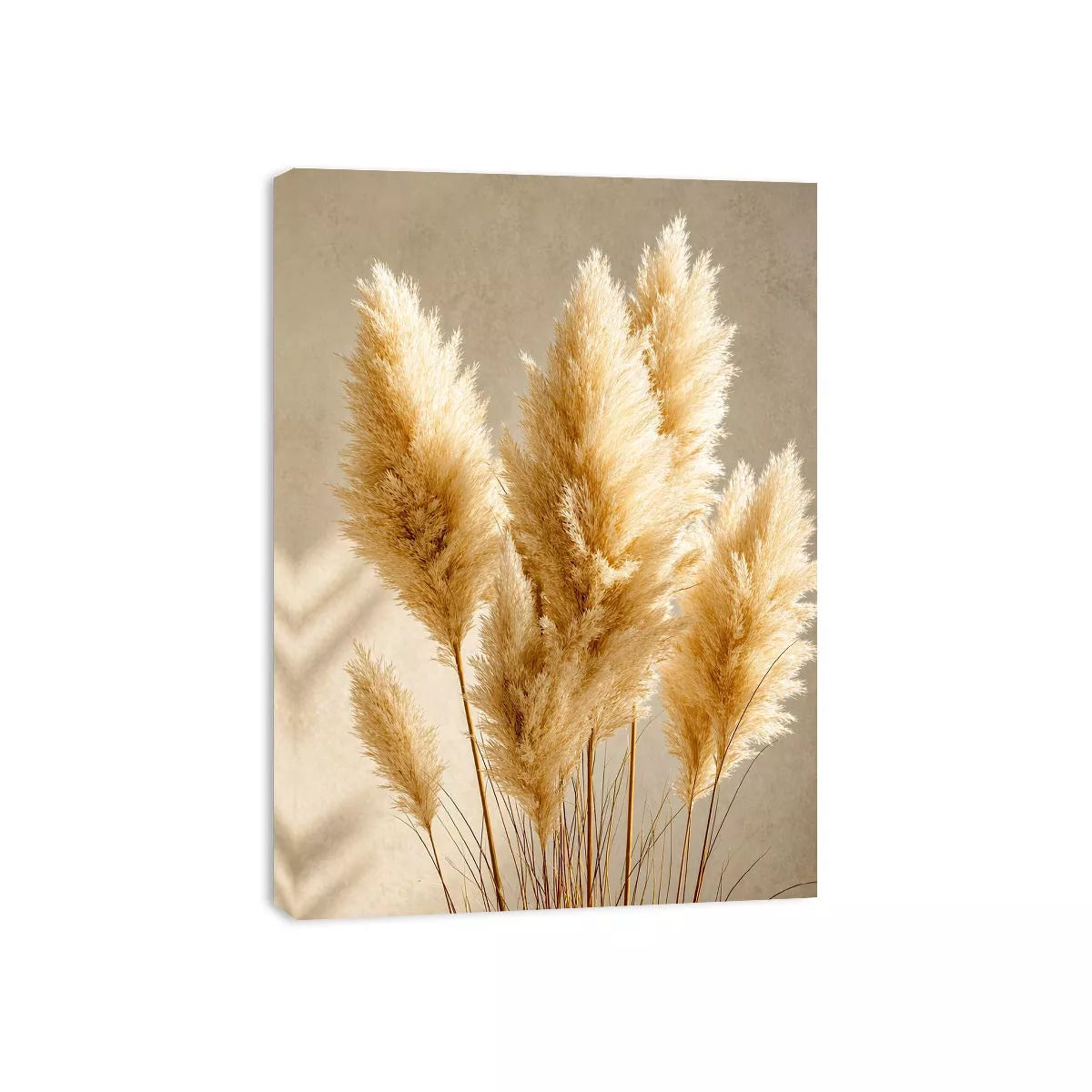 pampas grass Canvas Print neutral decor, minimalist boho pampas canvas, beige botanical Canvas Print print, soft pampas grass decor, neutral aesthetic plant artwork