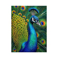 peacock close up Canvas Print colorful feathers, vibrant bird painting Canvas Print, detailed peacock feather artwork modern decor, luxury peacock illustration
