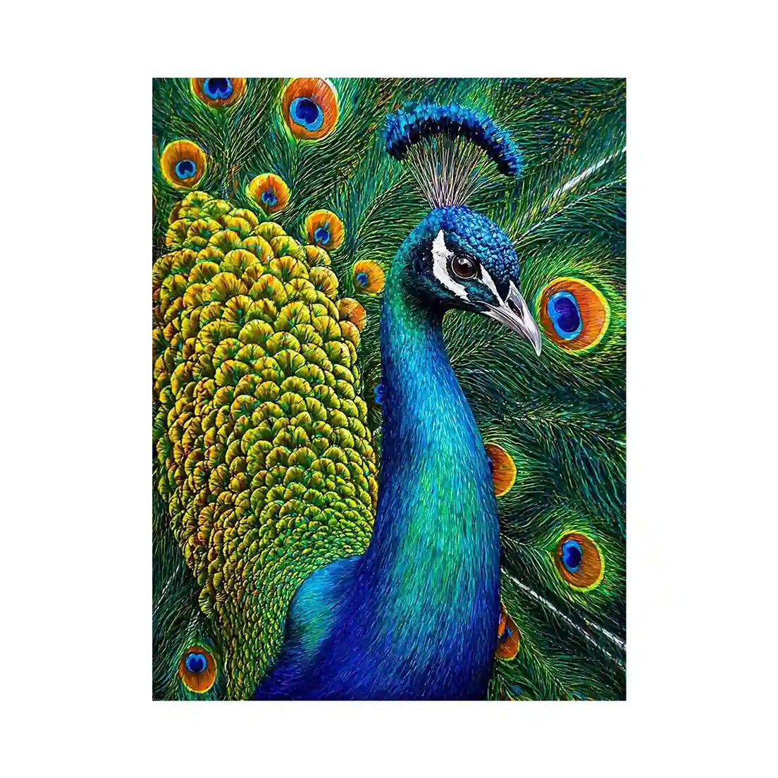 peacock close up Canvas Print colorful feathers, vibrant bird painting Canvas Print, detailed peacock feather artwork modern decor, luxury peacock illustration