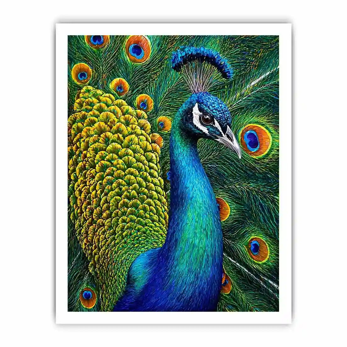 peacock close up Canvas Print colorful feathers, vibrant bird painting Canvas Print, detailed peacock feather artwork modern decor, luxury peacock illustration