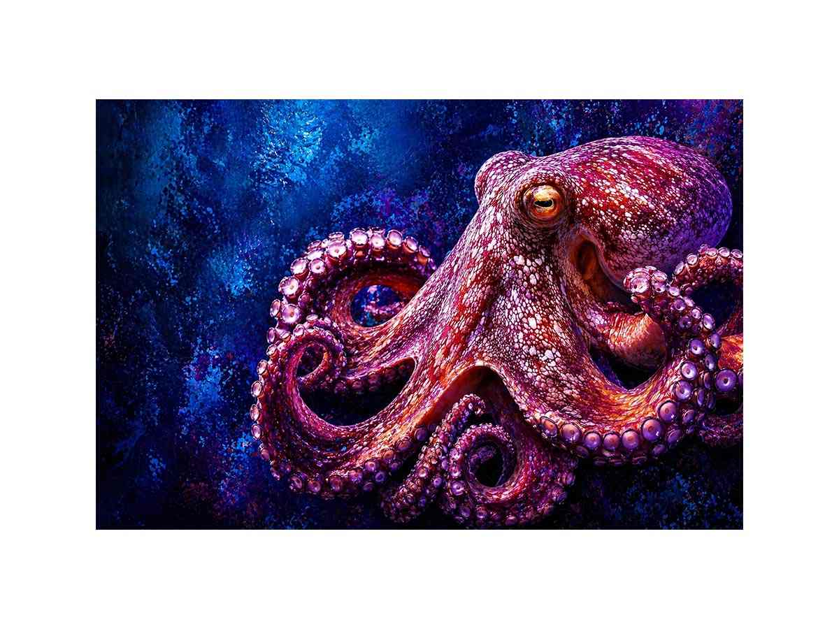 octopus Canvas Print modern ocean canvas, vibrant octopus painting detailed texture artwork, marine life canvas bold sea creature decor, underwater octopus artwork premium design