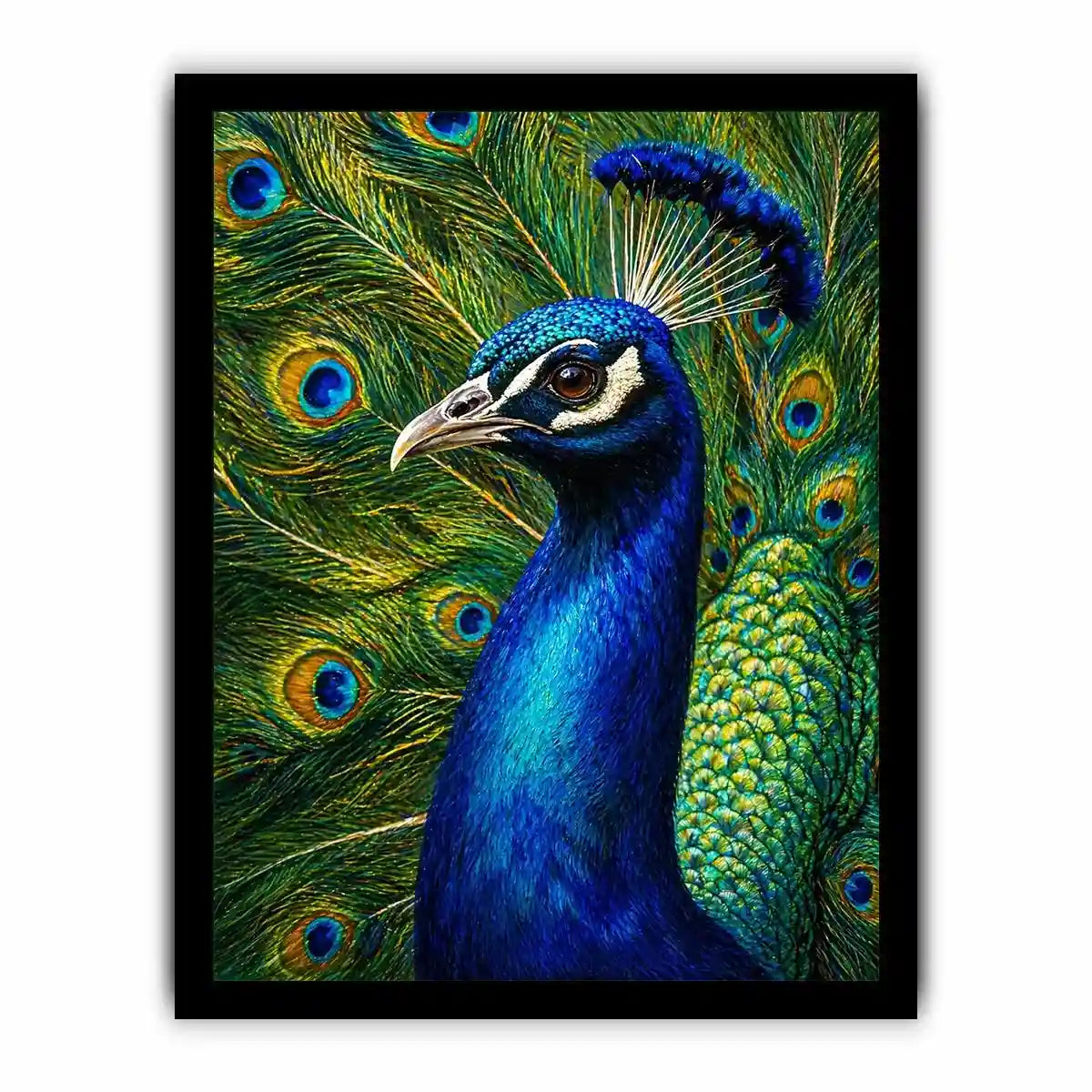 Vibrant peacock Canvas Print with detailed blue and gold feathers
