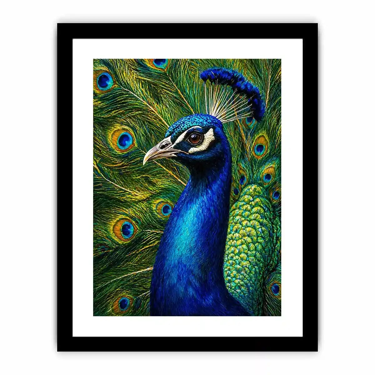 Vibrant peacock Canvas Print with detailed blue and gold feathers