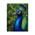 Vibrant peacock Canvas Print with detailed blue and gold feathers