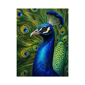Vibrant peacock Canvas Print with detailed blue and gold feathers