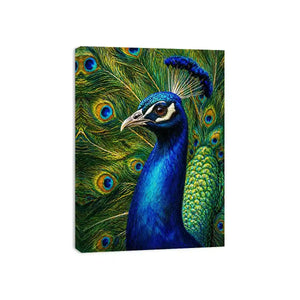 Vibrant peacock Canvas Print with detailed blue and gold feathers