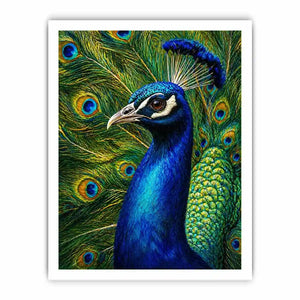 Vibrant peacock Canvas Print with detailed blue and gold feathers